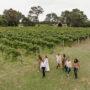 Windows Estate, Margaret River, Western Australia
