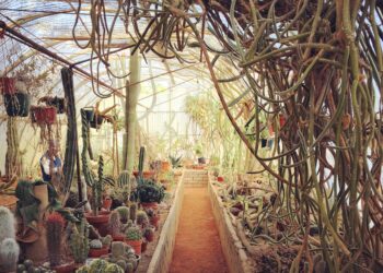 Moorten Botanical Garden, Palm Springs, California