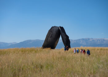 A working cattle ranch is the setting for Montana's Tippet Rise Art Center